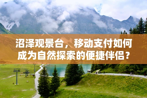 沼泽观景台，移动支付如何成为自然探索的便捷伴侣？
