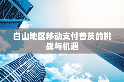 白山地区移动支付普及的挑战与机遇