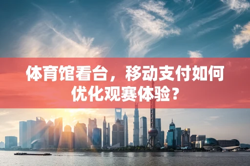 体育馆看台，移动支付如何优化观赛体验？
