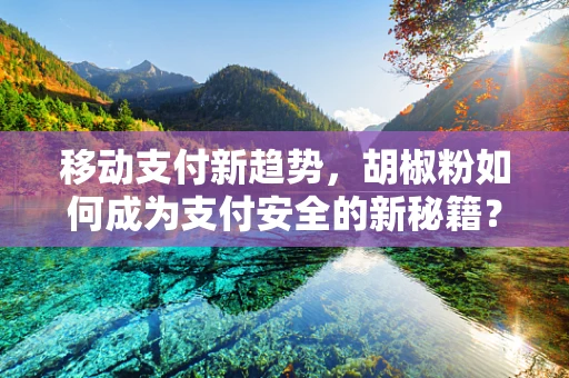 移动支付新趋势，胡椒粉如何成为支付安全的新秘籍？