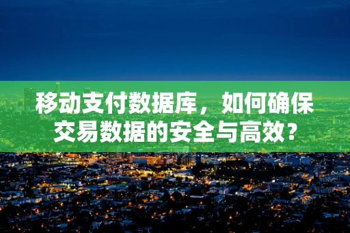 移动支付数据库，如何确保交易数据的安全与高效？