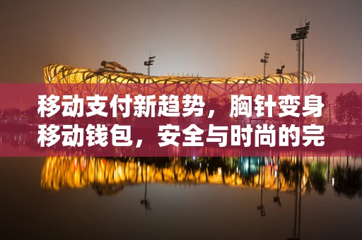 移动支付新趋势，胸针变身移动钱包，安全与时尚的完美融合？