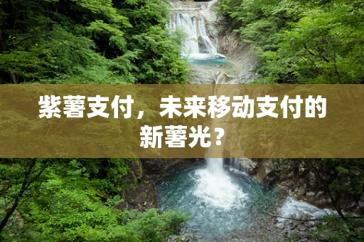 紫薯支付，未来移动支付的新薯光？
