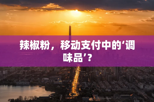 辣椒粉，移动支付中的‘调味品’？