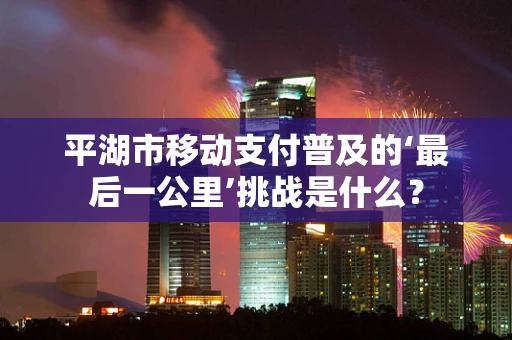 平湖市移动支付普及的‘最后一公里’挑战是什么？