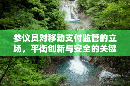 参议员对移动支付监管的立场，平衡创新与安全的关键