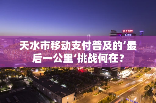 天水市移动支付普及的‘最后一公里’挑战何在？