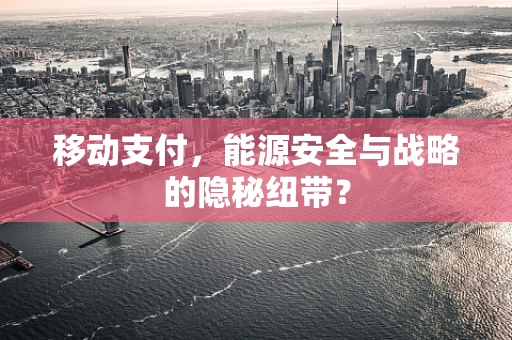 移动支付，能源安全与战略的隐秘纽带？