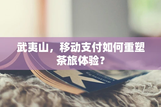 武夷山，移动支付如何重塑茶旅体验？