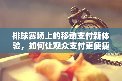 排球赛场上的移动支付新体验，如何让观众支付更便捷？