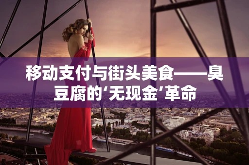 移动支付与街头美食——臭豆腐的‘无现金’革命