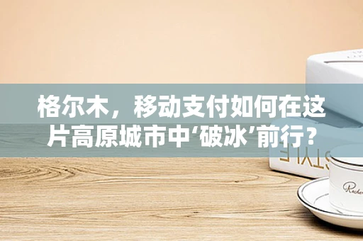 格尔木，移动支付如何在这片高原城市中‘破冰’前行？