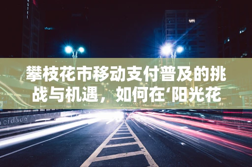 攀枝花市移动支付普及的挑战与机遇，如何在‘阳光花城’中绽放？