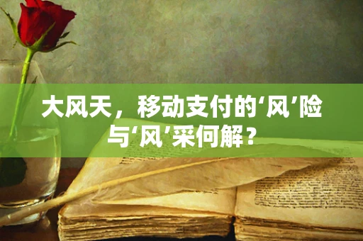 大风天，移动支付的‘风’险与‘风’采何解？
