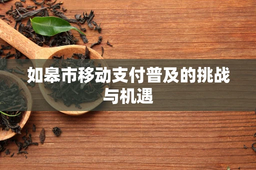 如皋市移动支付普及的挑战与机遇