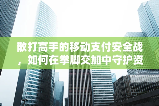 散打高手的移动支付安全战，如何在拳脚交加中守护资金安全？