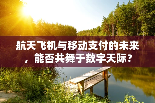 航天飞机与移动支付的未来，能否共舞于数字天际？