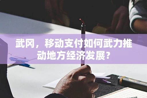 武冈，移动支付如何武力推动地方经济发展？