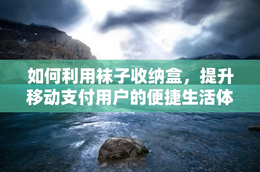如何利用袜子收纳盒，提升移动支付用户的便捷生活体验？