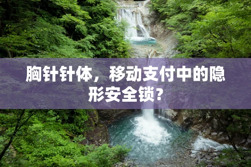 胸针针体，移动支付中的隐形安全锁？