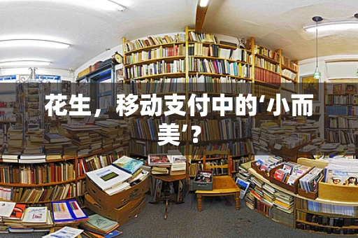 花生，移动支付中的‘小而美’？