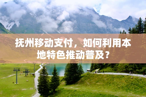 抚州移动支付，如何利用本地特色推动普及？