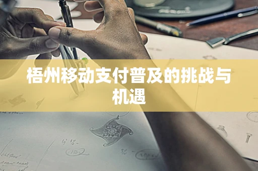 梧州移动支付普及的挑战与机遇