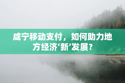 咸宁移动支付，如何助力地方经济‘新’发展？