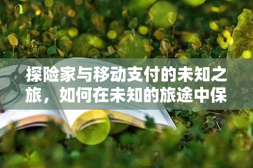 探险家与移动支付的未知之旅，如何在未知的旅途中保持支付安全？