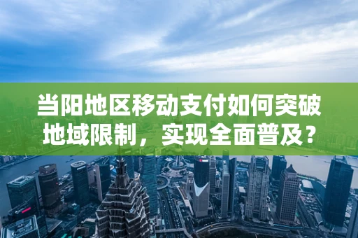 当阳地区移动支付如何突破地域限制，实现全面普及？