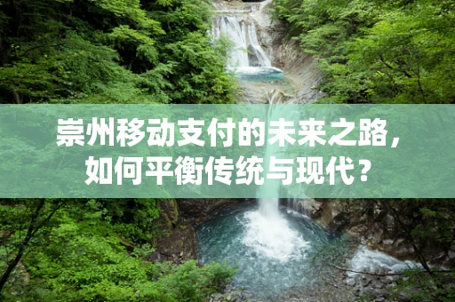 崇州移动支付的未来之路，如何平衡传统与现代？