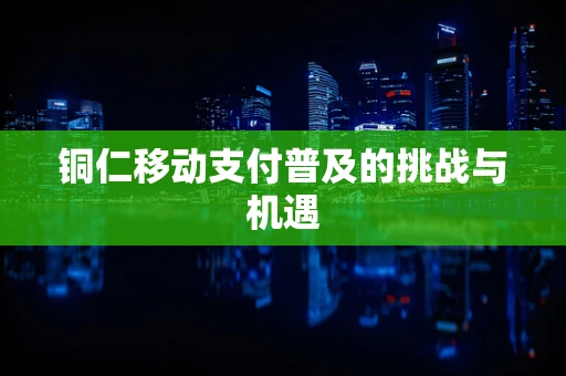 铜仁移动支付普及的挑战与机遇