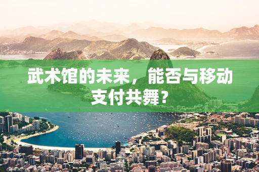 武术馆的未来，能否与移动支付共舞？