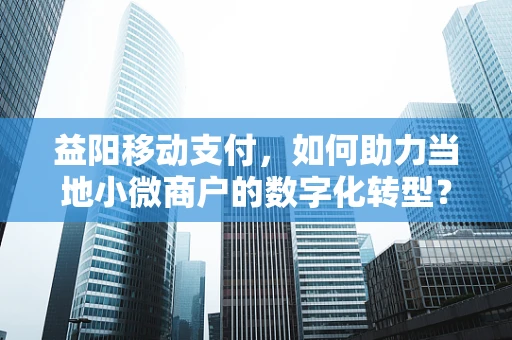 益阳移动支付，如何助力当地小微商户的数字化转型？