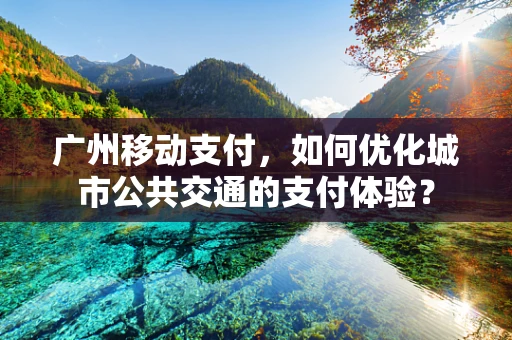 广州移动支付，如何优化城市公共交通的支付体验？