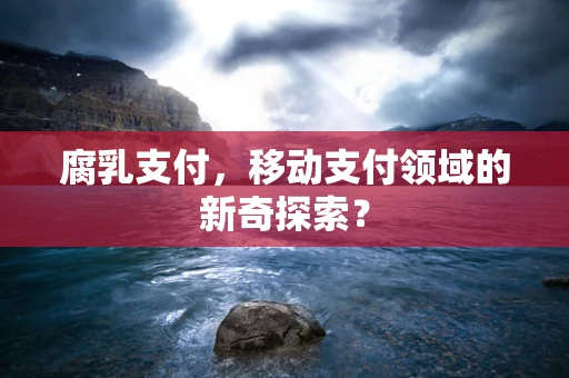 腐乳支付，移动支付领域的新奇探索？