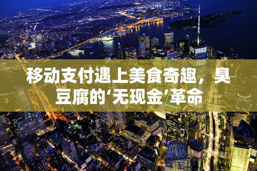 移动支付遇上美食奇趣，臭豆腐的‘无现金’革命