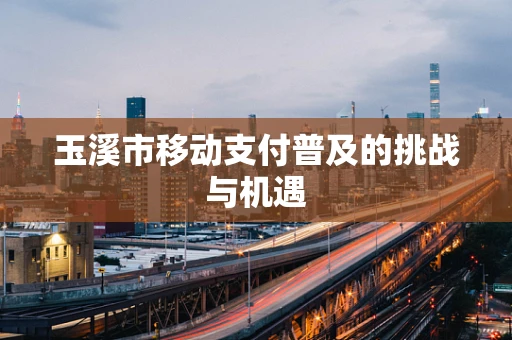 玉溪市移动支付普及的挑战与机遇