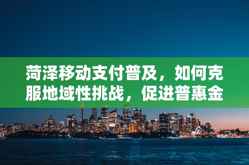 菏泽移动支付普及，如何克服地域性挑战，促进普惠金融？