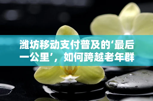 潍坊移动支付普及的‘最后一公里’，如何跨越老年群体的数字鸿沟？
