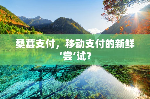 桑葚支付，移动支付的新鲜‘尝’试？