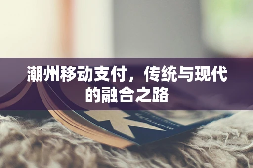 潮州移动支付，传统与现代的融合之路