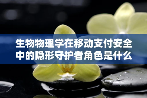 生物物理学在移动支付安全中的隐形守护者角色是什么？