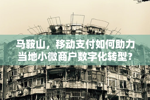 马鞍山，移动支付如何助力当地小微商户数字化转型？