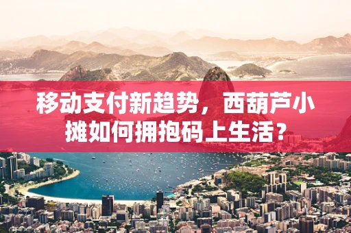 移动支付新趋势，西葫芦小摊如何拥抱码上生活？