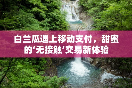 白兰瓜遇上移动支付，甜蜜的‘无接触’交易新体验