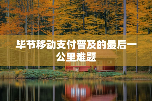 毕节移动支付普及的最后一公里难题