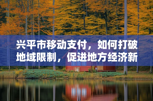 兴平市移动支付，如何打破地域限制，促进地方经济新活力？