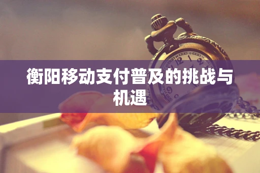 衡阳移动支付普及的挑战与机遇