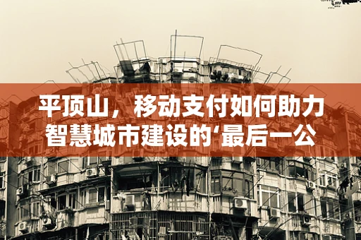 平顶山，移动支付如何助力智慧城市建设的‘最后一公里’？